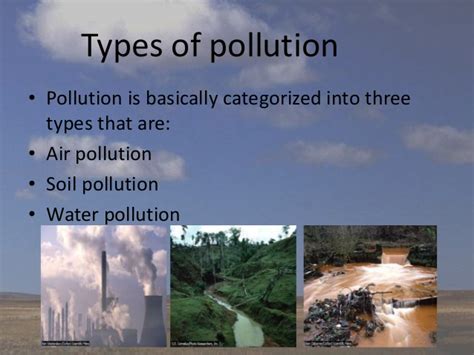 How to know if a food is contaminated. Environment and pollution