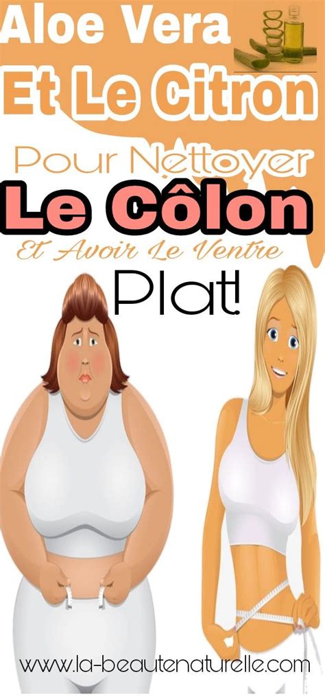 Recette gâteau rapide au citron : Aloe Vera et le citron pour nettoyer le côlon et avoir le ...