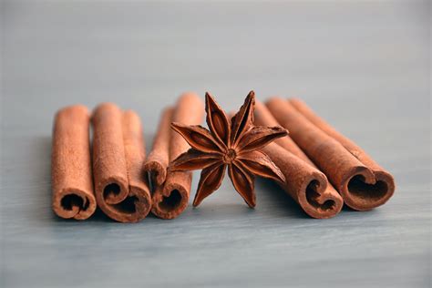 Cinnamon And Anise · Free Stock Photo