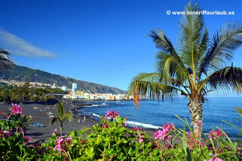 Über 800 objekte persönliche betreuung jetzt traumurlaub auf teneriffa buchen! Playa Jardin - Reiseführer Teneriffa