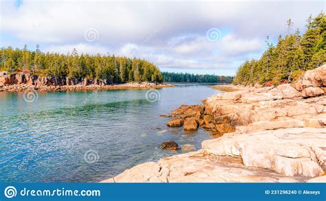 Acadia Seashore Stock Photo Image Of Outdoor Clear 231296240
