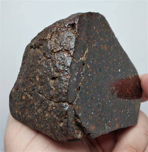 Nwa Cr2 Carbon Chondrite Météorite De Chondrite 9 X 85 X 75 Cm
