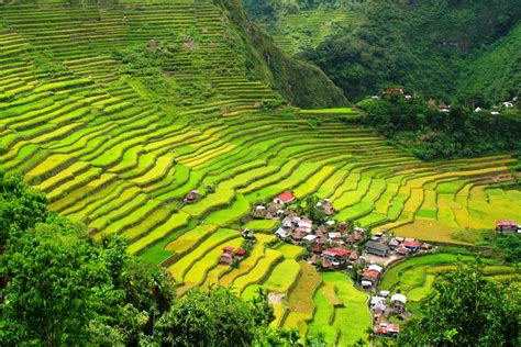 The Banaue Rice Terraces Of Philippines