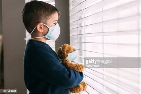 Teddy Bears Window Photos And Premium High Res Pictures Getty Images
