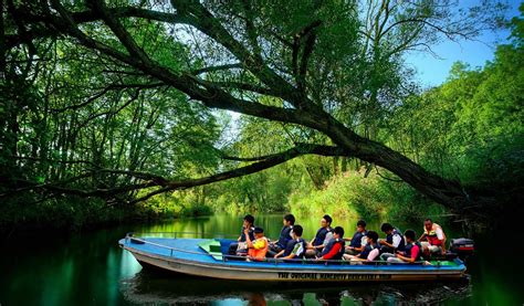 Dimana usaha agro yang biasa dimanfaatkan bisa berupa usaha di bidang pertanian, peternakan, perkebunan, perhutanan, maupun perikanan. Wisata Mangrove Cirebon - Tempat Wisata Indonesia