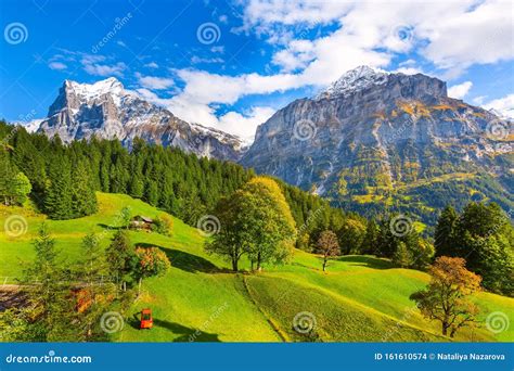 Grindelwald Switzerland Village And Mountains View Stock Photo Image