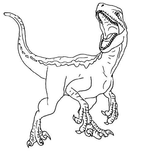 27 Desenhos Do Velociraptor Para Imprimir E Colorir Pintar Tyello Com