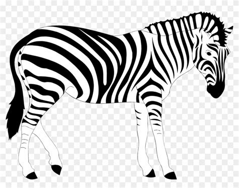 Zebra Clipart Images Stock Photos Vectors Shutterstock Clip Art Library