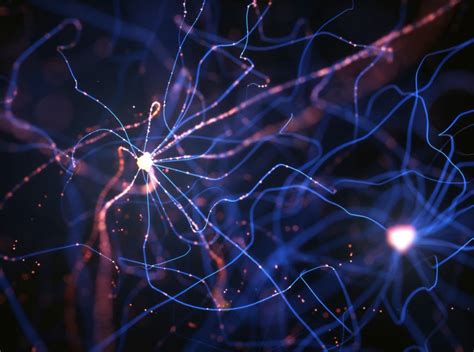 The human brain comprises of neurons that send information to various parts of the body in response to an action performed. What is Artificial Neural Network and How it mimics the ...