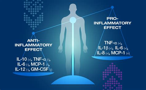 Pro And Anti Inflammatory Cytokines Graphic Ir Final 06 Eom