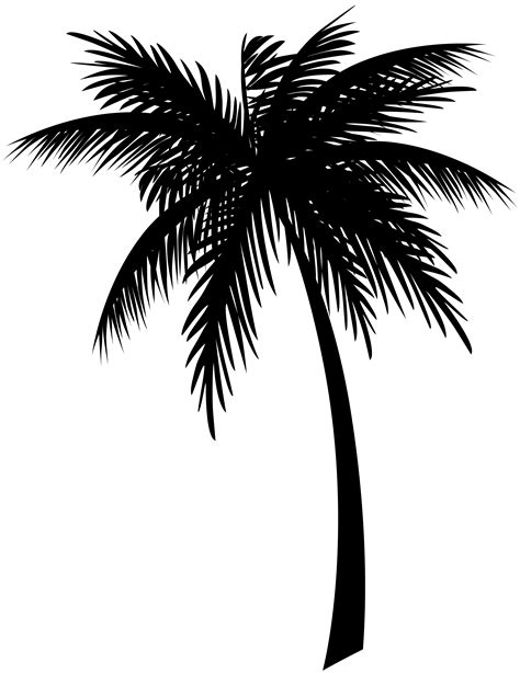 Clip Art Palm Tree Silhouette Png Clipart Images And Photos Finder