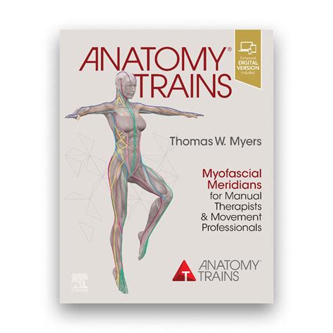 Anatomy Trains | Thomas Myers | OPTP