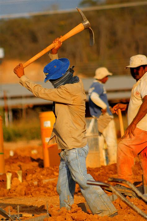 Pests like aphids, spider mites, beavers, mealybugs, whiteflies, and fungus gnats cause damage to often a pest control worker will only be told that some plant pest is destroying a garden. Blue-collar worker - Wikipedia