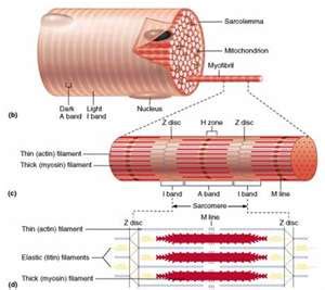 Biology: Unit 3