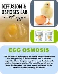 Reverse osmosis filters can be helpful for getting rid of iron, manganese, salt, fluoride, and lead. Egg Osmosis Lab Quiz | Cell Structure Quiz - Quizizz