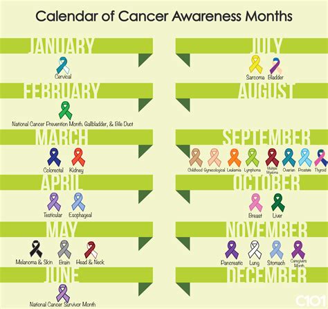 Navigating Cancer Cancer 101