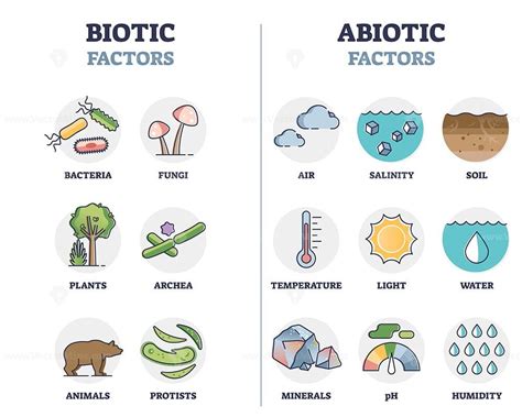 Biotic And Abiotic Factors As Biological Elements Division Outline