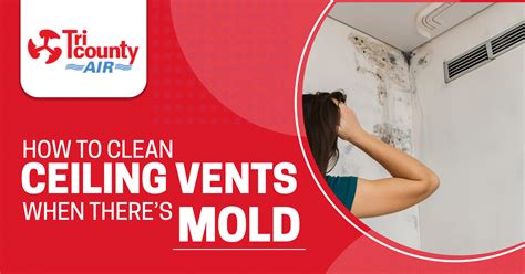 How to Clean Ceiling Vents When There's Mold - Tri County A/C and Heating