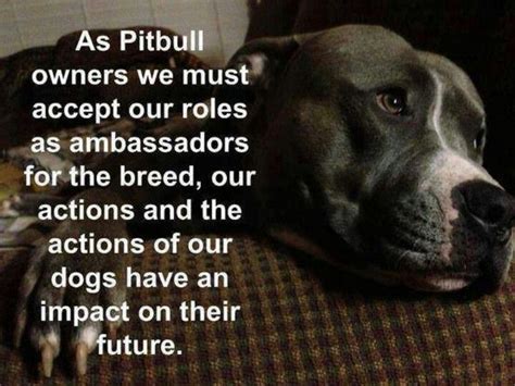 We Agree Thesamadhilegacyfoundation Pitbull