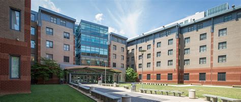 Hooter the owl, mascot of temple university, traveled all the way from the us to check in on students at temple university, japan campus! Top 6 Dorms at Temple University - OneClass Blog