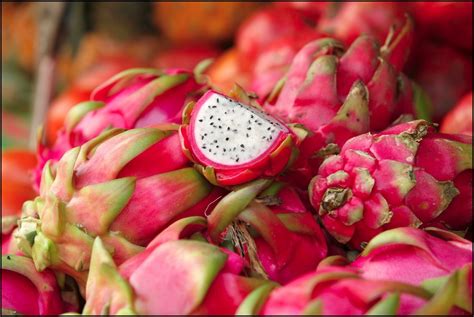 Don't cut dragon fruit until just before you plan to use it or eat it, as it will start to dry out and discolor. 8 Delicious Health Benefits of Dragon Fruit - Reasons Why Dragon Fruits Are Extremely Vital to ...