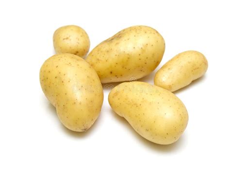 Fresh New Potatoes Stock Photo Image Of Scrubbed Clean 16154268