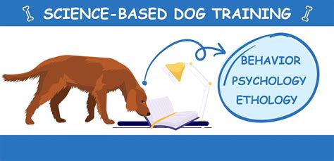 Types Of Dog Training 7 Proven Methods Hepper
