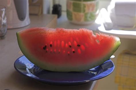 This means it also helps felines stay hydrated. Can cats eat watermelon - Pet Orb
