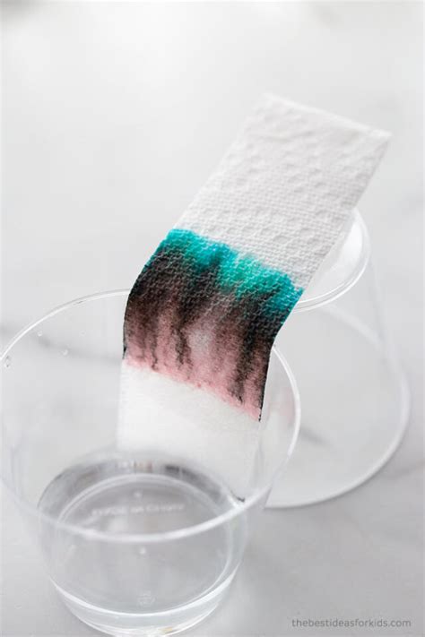 Coffee Filter Chromatography The Best Ideas For Kids
