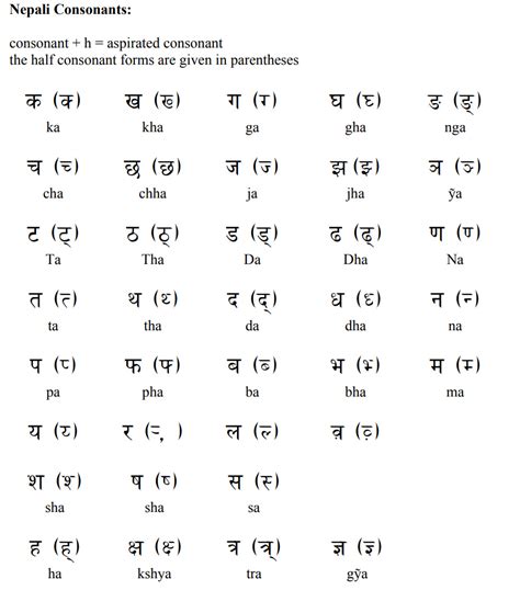 Nepali Individual Language Pronunciation Alphabet And Pronunciation