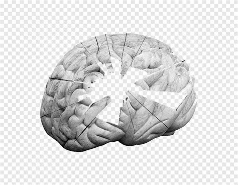 Memori Jangka Panjang Kognitif Psikologi Kognisi Ada Lubang Kuat Di Otak Orang Monokrom Png