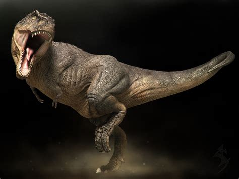 Los 10 Grandes Dinosaurios Carnívoros De Todos Los Tiempos Nuestroclima