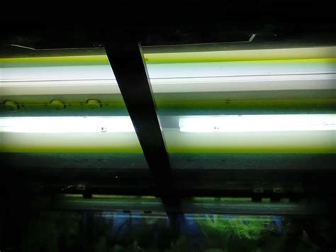 We offer a huge selection of many different shapes and sizes. Tropical Fisher Man Fish Tanks And Aquarium CRS: 3 feet ...