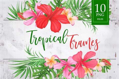 Watercolor Tropical Flowers And Leaves Frames 283016 Illustrations