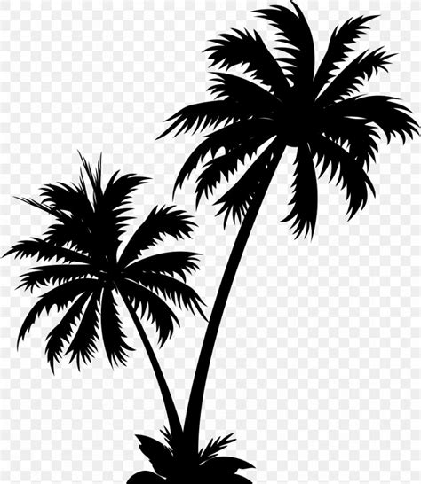Vector Graphics Palm Trees Clip Art Illustration Royalty Free Png