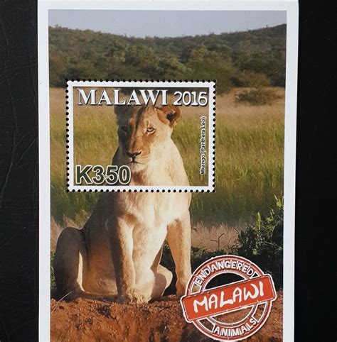 Malawi Post Office Philatelic Bureau Blantyre