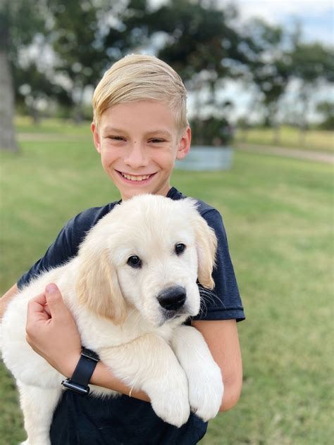 Cottage Farmhouse Goldens - Golden Retriever Puppies for Sale in San