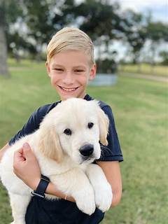 Puppies Seeking Homes Craigslist San Antonio Connects You With Your Furry Friend