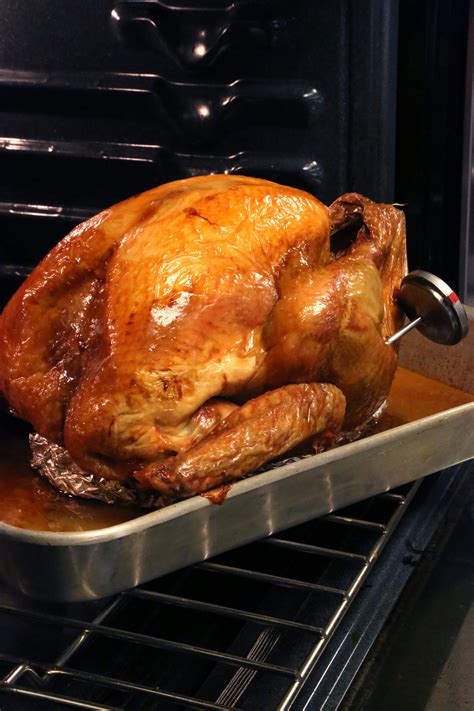 The 1 Thing To Brush On Turkey To Make It Ultra Crispy And Golden Brown Turkey Recipes