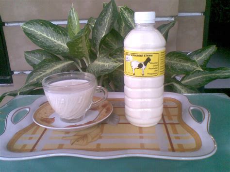 Susu kambing etawa amh dijual dalam bentuk sachet bubukan, tersedia dalam rasa original dan coklat. Susu kambing "Etawa Baru" Surabaya-Sidoarjo ~ Susu Kambing ...