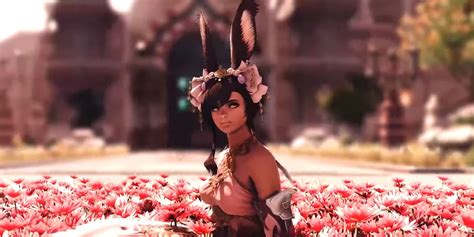 Final Fantasy XIV How To Unlock New Viera Hairstyles Newshunds