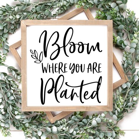 Make the best of life. Bloom Where You are Planted Svg Png Dxf Files for ...