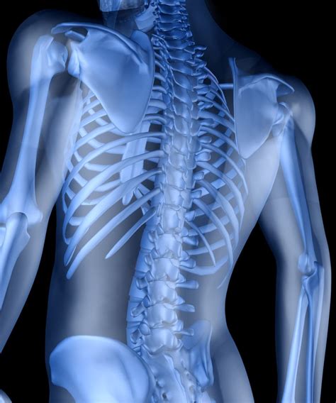 Thoracic Pain And Treatment Options Spine Center Of Texas