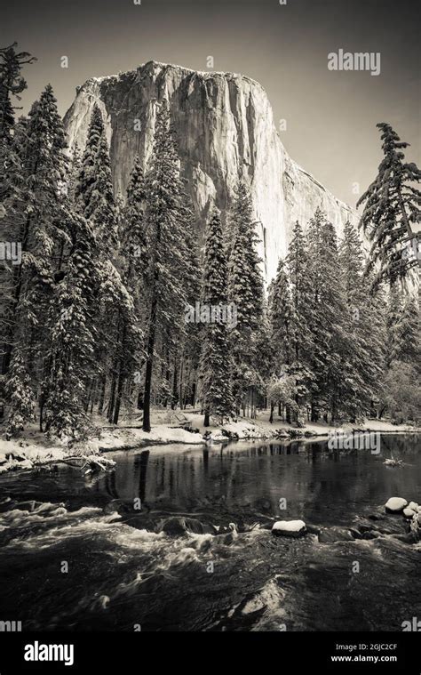 El Capitan Above The Merced River In Winter Yosemite National Park
