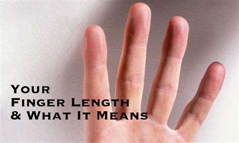 Ring Finger Longer Than Index Finger Testosterone Margaret Greene Kapsels