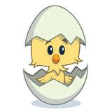 Hatched Clipart Clipground