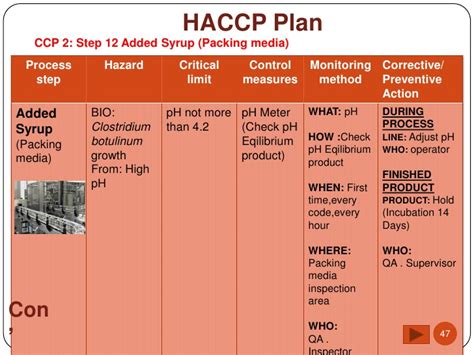 Haccp Plan Example Template Business