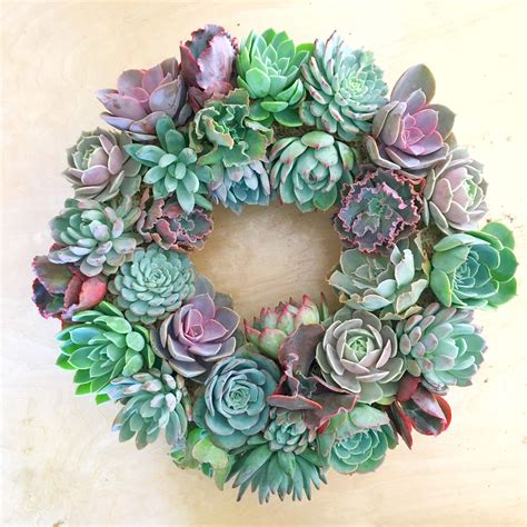 Love This Succulent Wreath By Succulentartworks Succulent Wreath