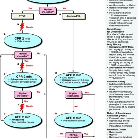 Pals Bradycardia Algorithm Download Scientific Diagram