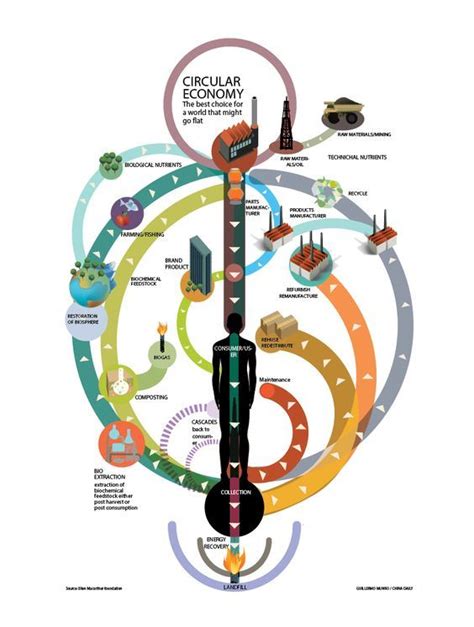 A Simple Graphic Showing How The Circular Economy Works And How It